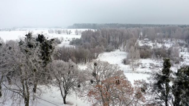 Działka budowlana Harsz. Zdjęcie 3