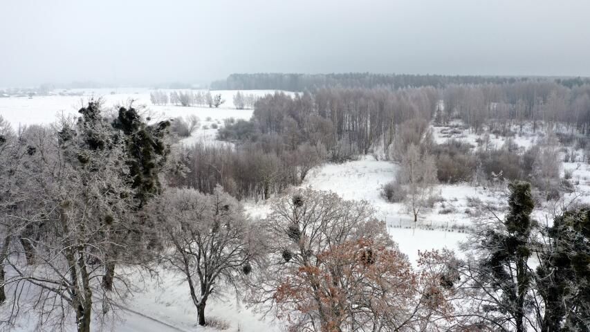 Działka budowlana Harsz. Zdjęcie 3