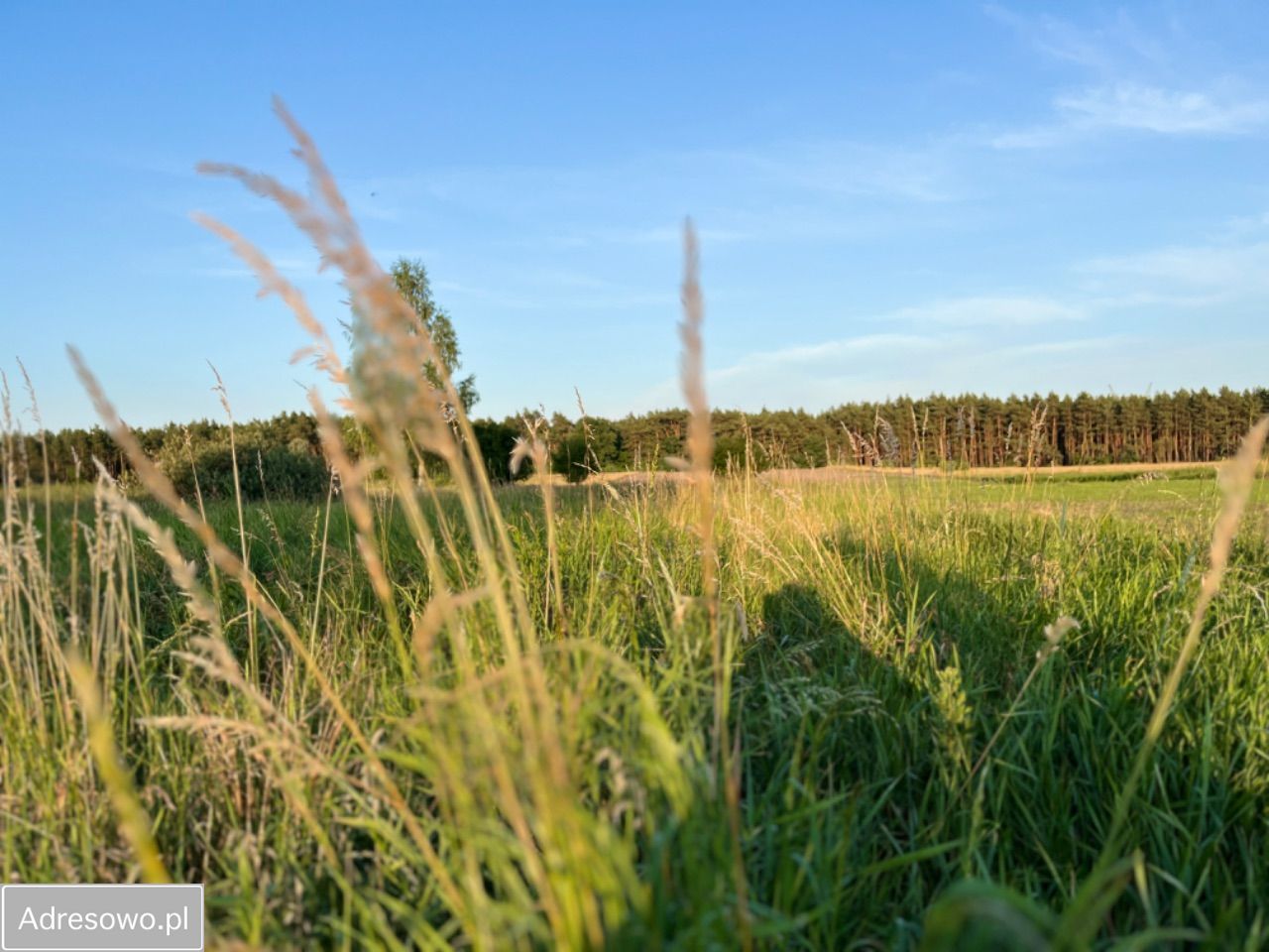 Działka budowlana Zielonka, ul. Szpakowa. Zdjęcie 4