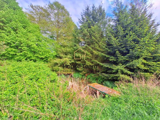 Działka rolna Czarnowo. Zdjęcie 6