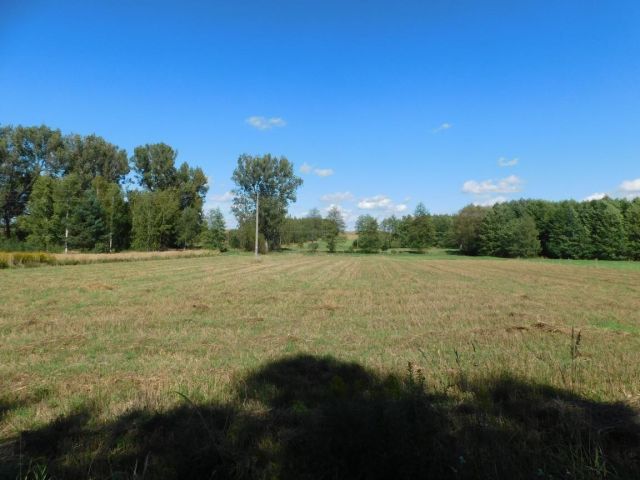 Działka rolna Galów Zagosiek. Zdjęcie 10