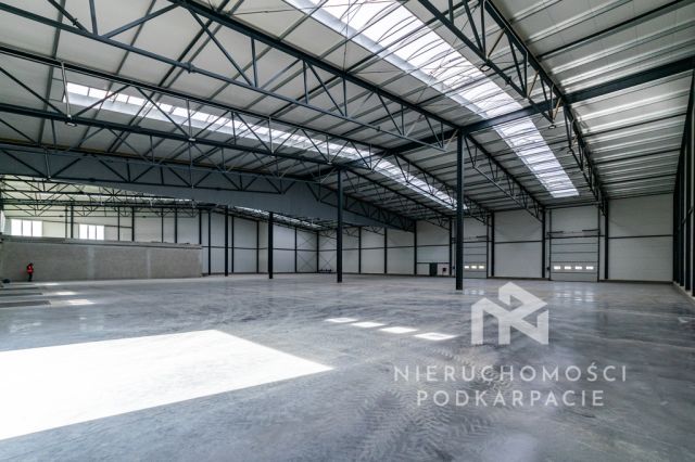 Hala/magazyn Rzeszów. Zdjęcie 3