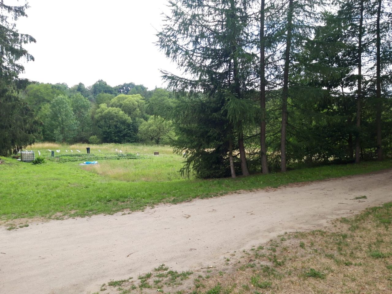 Działka budowlana Lipie. Zdjęcie 11