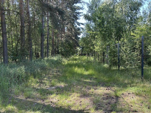 Działka budowlana Miłoszyce. Zdjęcie 7