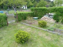 Działka rod Żary. Zdjęcie 3