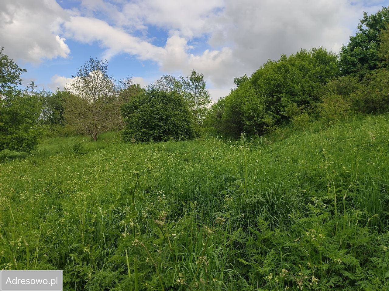 Działka budowlana Łąkie. Zdjęcie 8