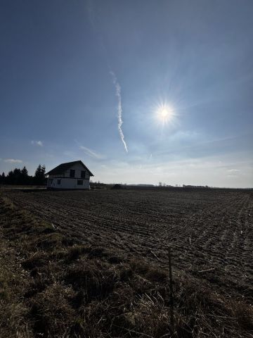 Działka budowlana Wiela Mieścisko-Ulica. Zdjęcie 1