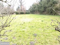 Działka budowlana Wińsko, ul. Rawicka. Zdjęcie 3