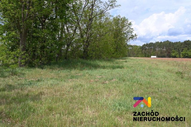 Działka budowlana Świdnica Łochowo. Zdjęcie 1