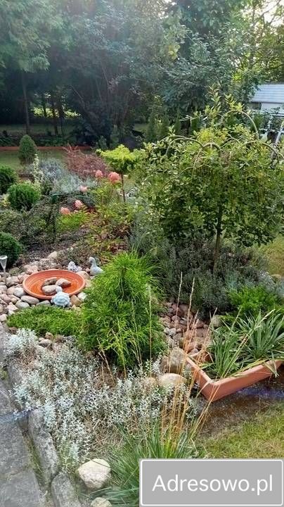 Działka rod Łódź Radogoszcz, ul. Brzegowa. Zdjęcie 7