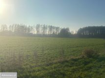 Działka budowlana Szembekowo, ul. Łąkowa. Zdjęcie 2