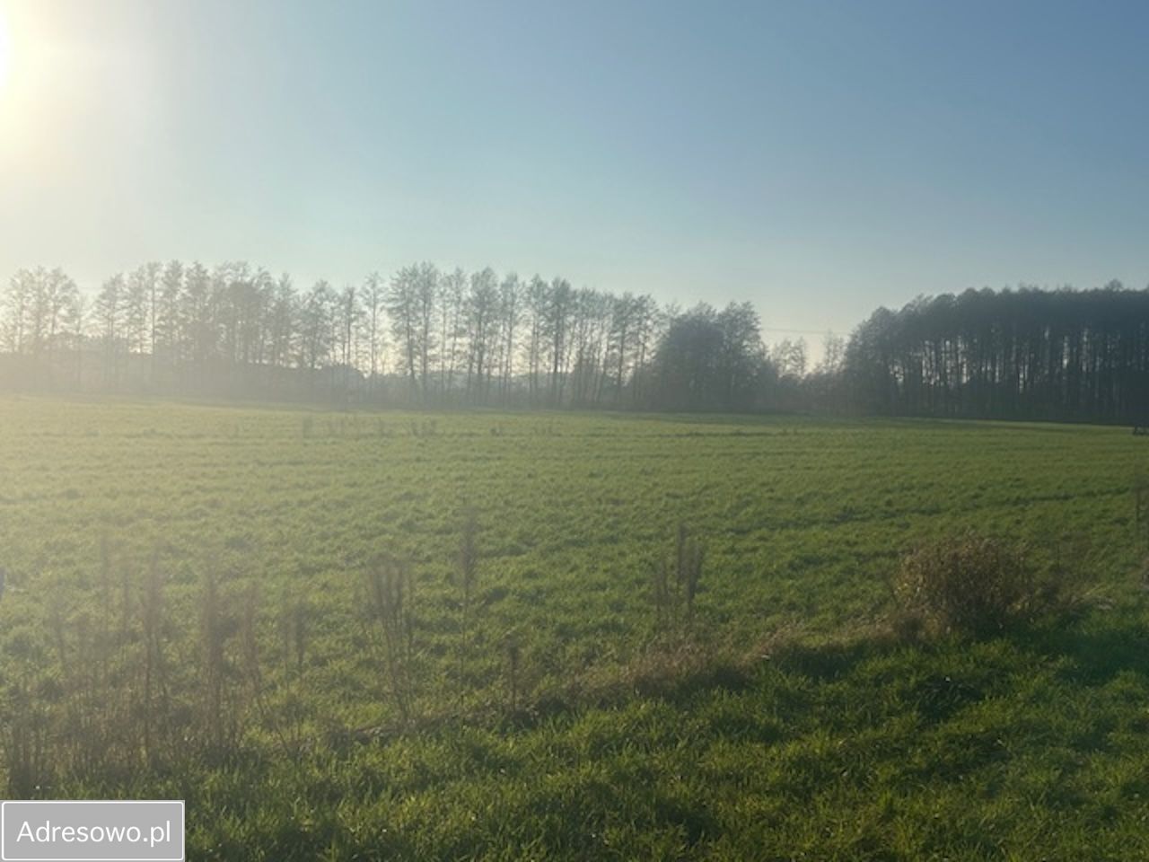 Działka budowlana Szembekowo, ul. Łąkowa. Zdjęcie 3