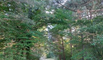 Działka rolna Izabelin