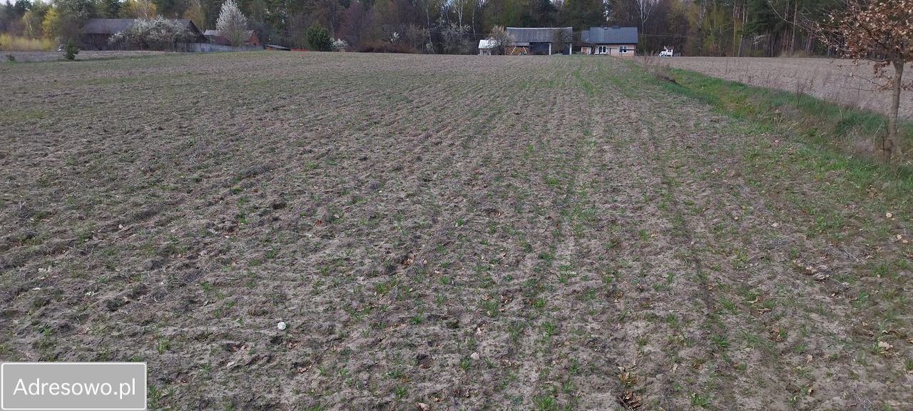 Działka budowlana Maksymilianów. Zdjęcie 6