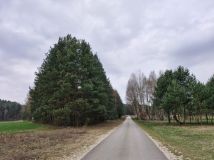 Działka budowlana Borków, BRZOZOWA. Zdjęcie 4