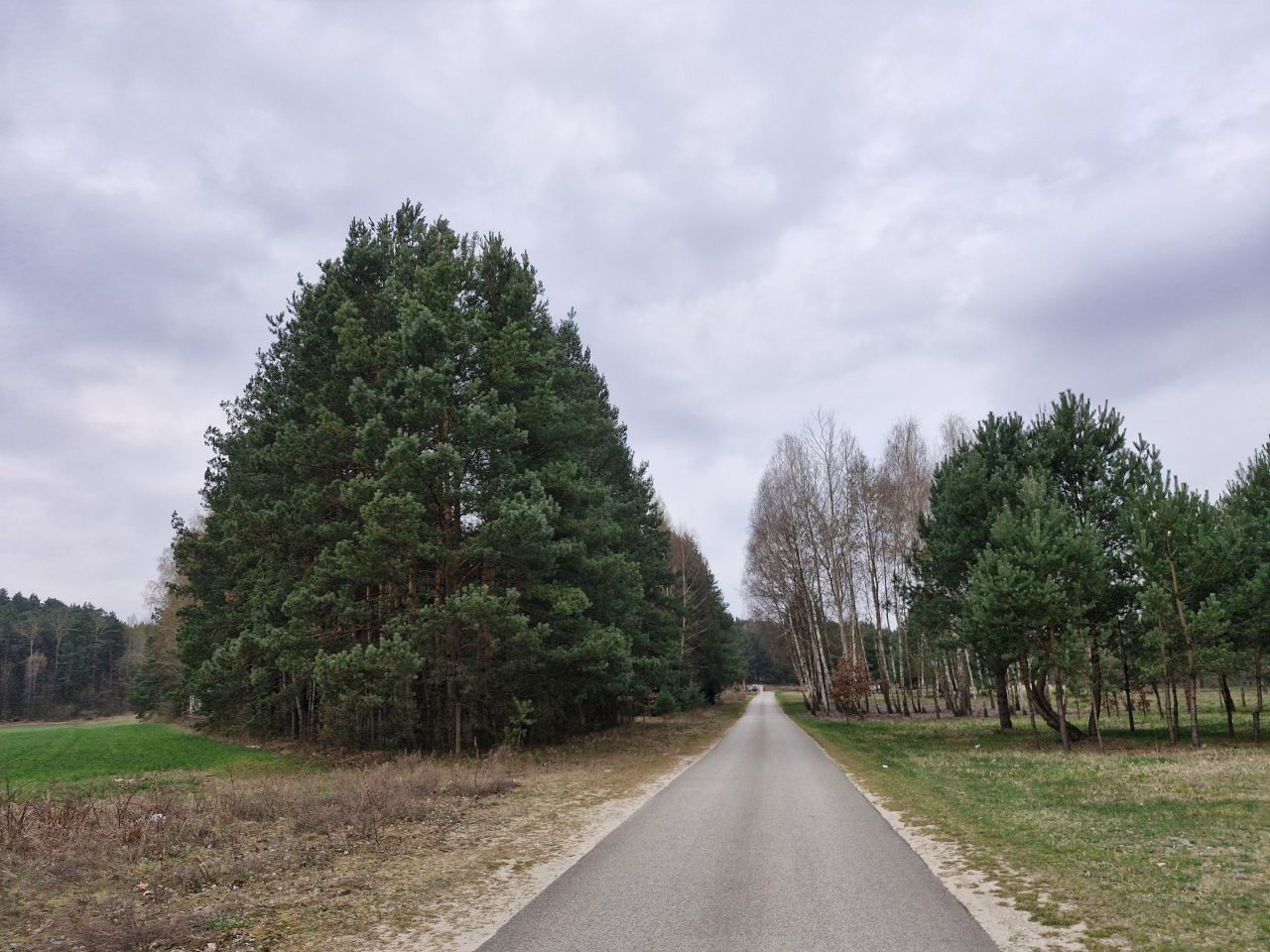 Działka budowlana Borków, BRZOZOWA. Zdjęcie 5