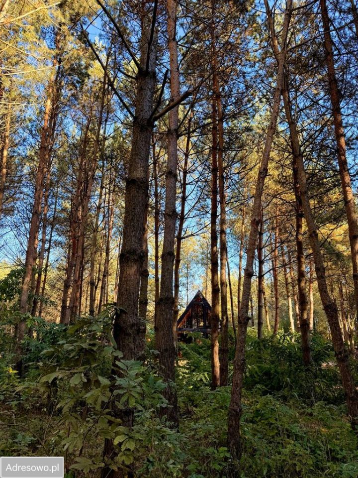 dom wolnostojący, 2 pokoje Kiełpiny. Zdjęcie 18