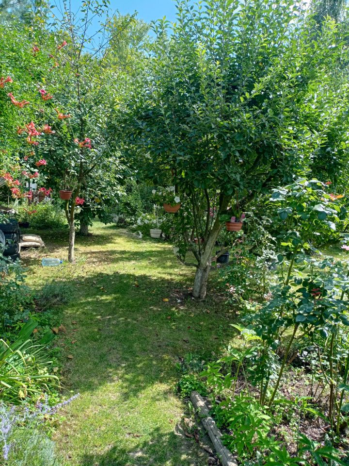 Działka rekreacyjna Wrocław Bierdzany, ul. Nizinna. Zdjęcie 40