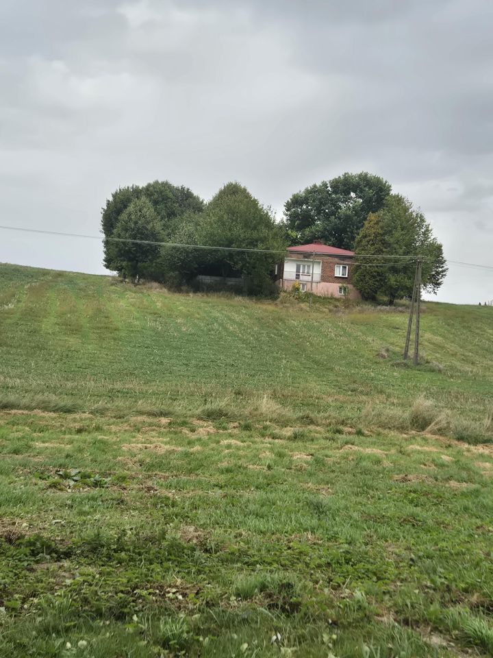 dom wolnostojący, 3 pokoje Blinów Drugi. Zdjęcie 4