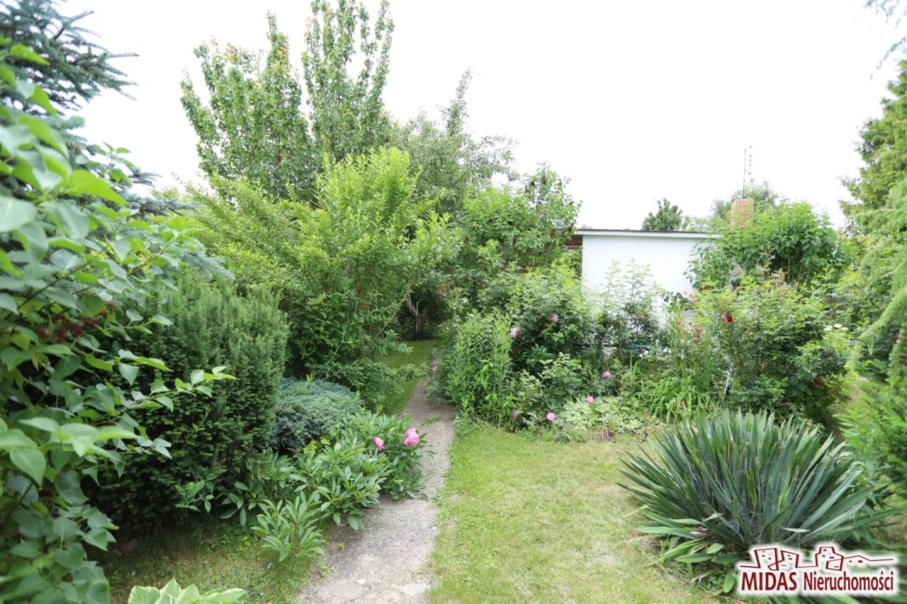 Działka rod Ciechocinek, ul. Adama Mickiewicza. Zdjęcie 3