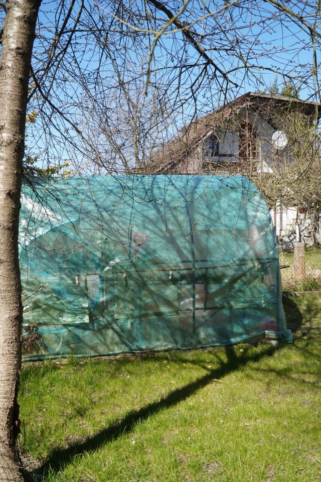 Działka rod Szczecin, ul. Szosa Polska. Zdjęcie 48