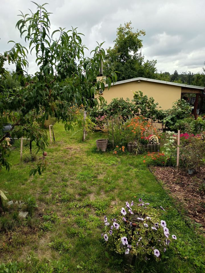 Działka rod Zielona Góra Jędrzychów, ul. Botaniczna. Zdjęcie 11