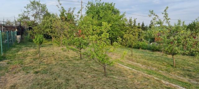 Działka rod Pszów. Zdjęcie 1