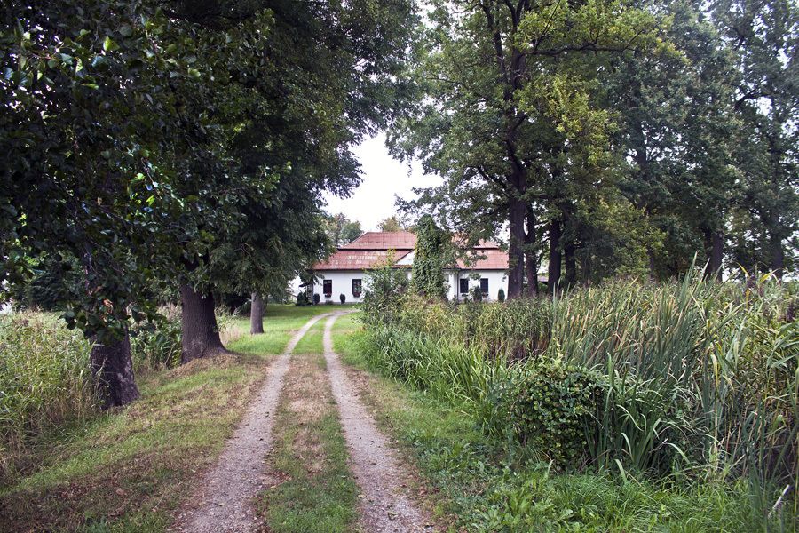 Nieruchomość komercyjna Kraków Sidzina, ul. Mieczysława Wrony. Zdjęcie 12