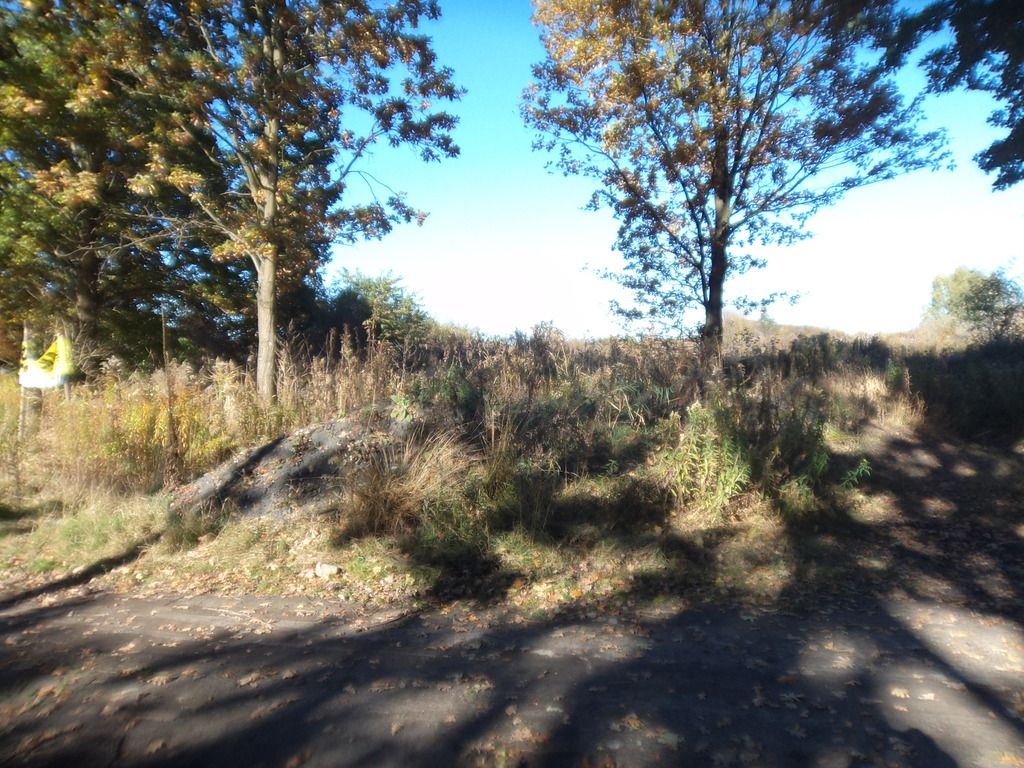 Działka budowlana Warszawa Wawer, Borowiecka. Zdjęcie 4