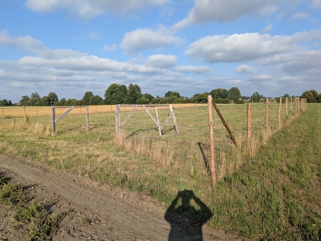 Działka budowlana Przychojec. Zdjęcie 3