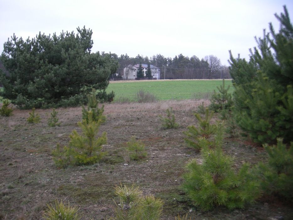 Działka rolno-budowlana Żelków-Kolonia, ul. Swoboda. Zdjęcie 3