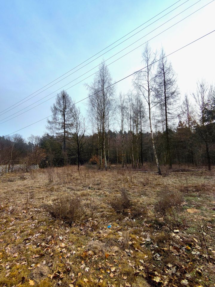 Działka budowlana Wymysły, ul. Czereśniowa. Zdjęcie 2