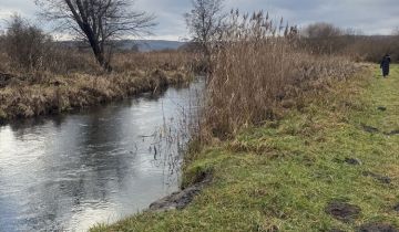 Działka rolno-budowlana Szczebrzeszyn Błonie