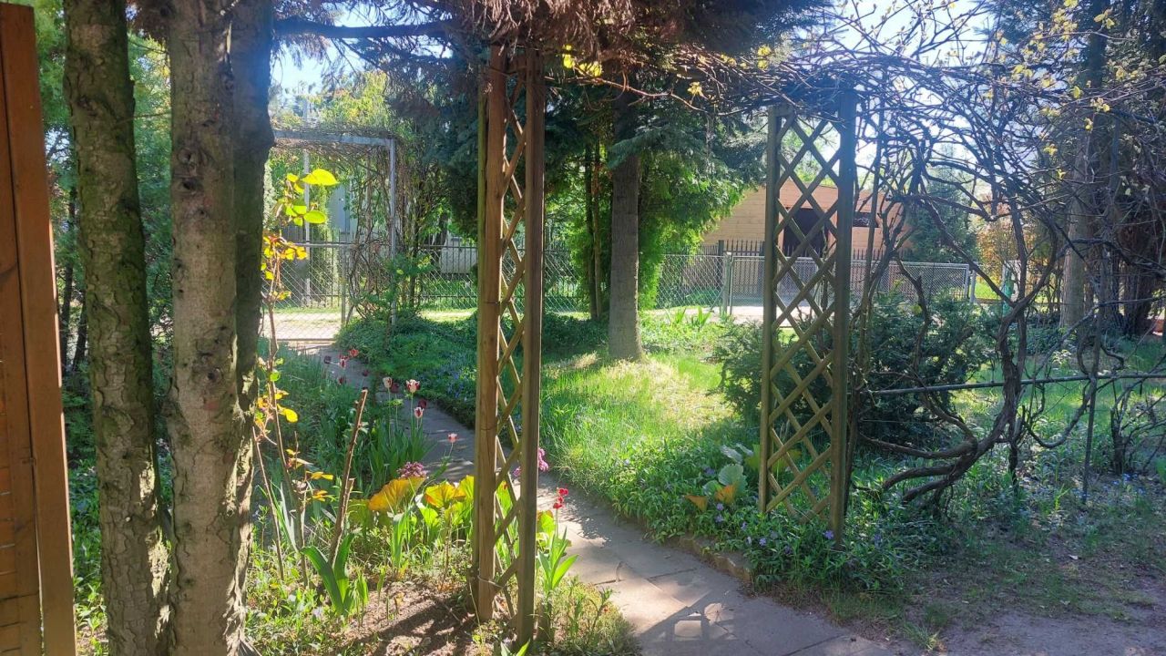 Działka rod Glinka Duchowna. Zdjęcie 2