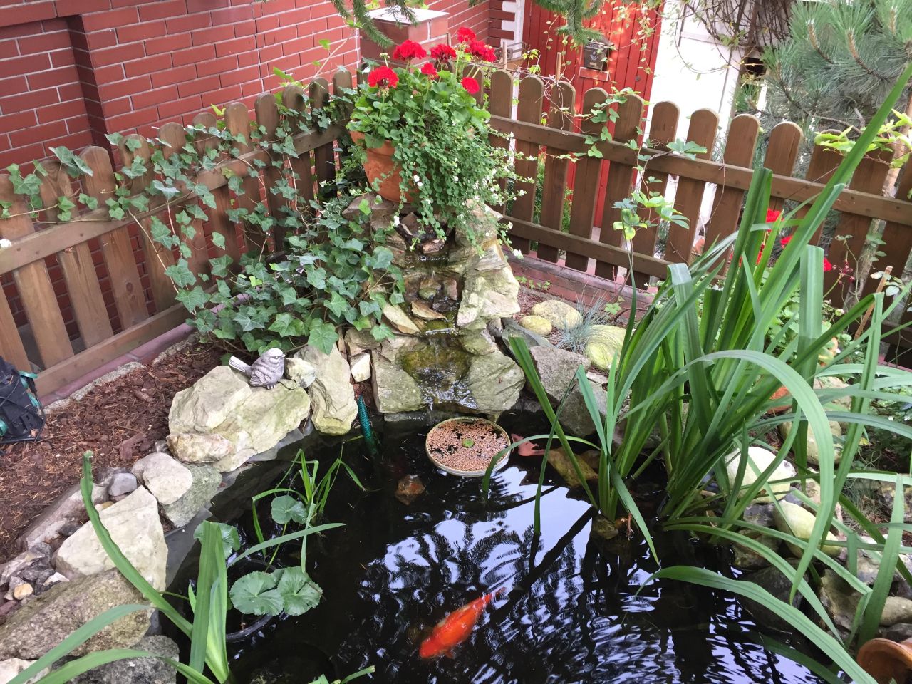 dom wolnostojący, 7 pokoi Międzyzdroje, ul. Zwycięstwa. Zdjęcie 14