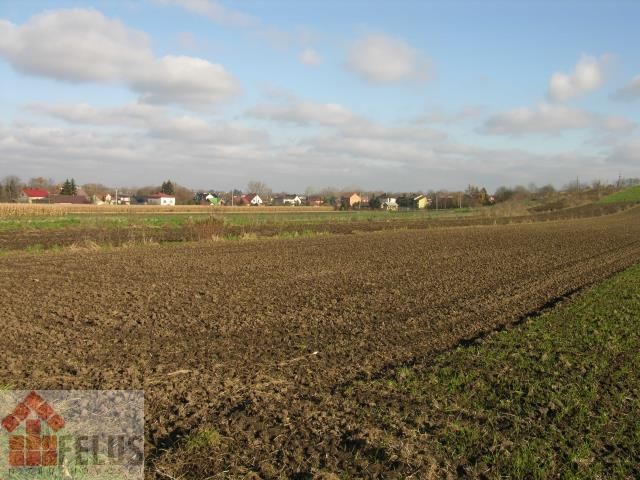 Działka budowlana Proszowice Podgórze. Zdjęcie 10