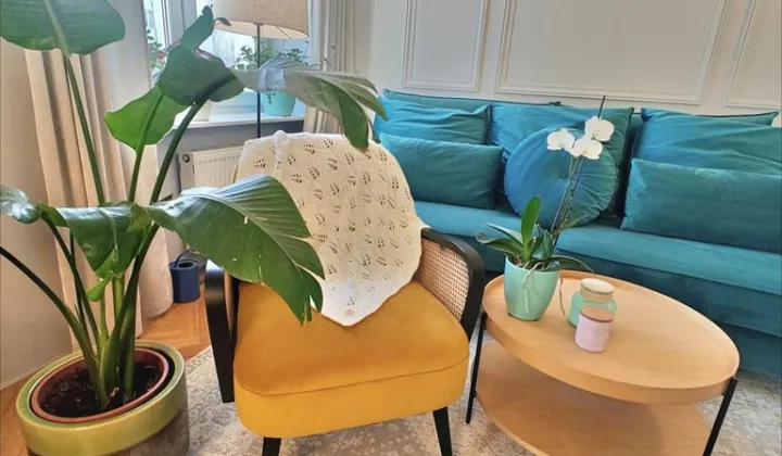 Mieszkanie 2-pokojowe Warszawa Ochota, ul. Szczęśliwicka