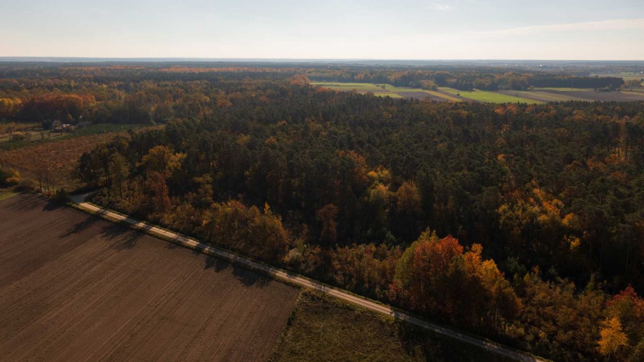 Działka budowlana Wiaderno. Zdjęcie 3