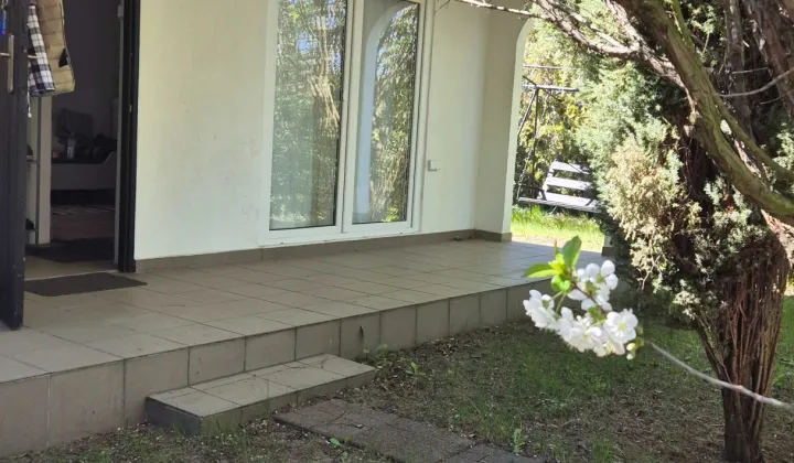 Działka rod Leszno Grzybowo, ul. Osiecka