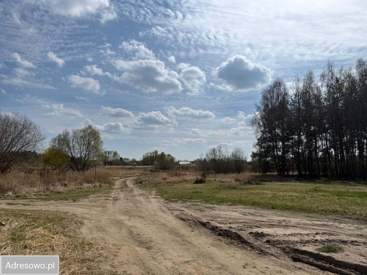 Działka budowlana Lipiany. Zdjęcie 8