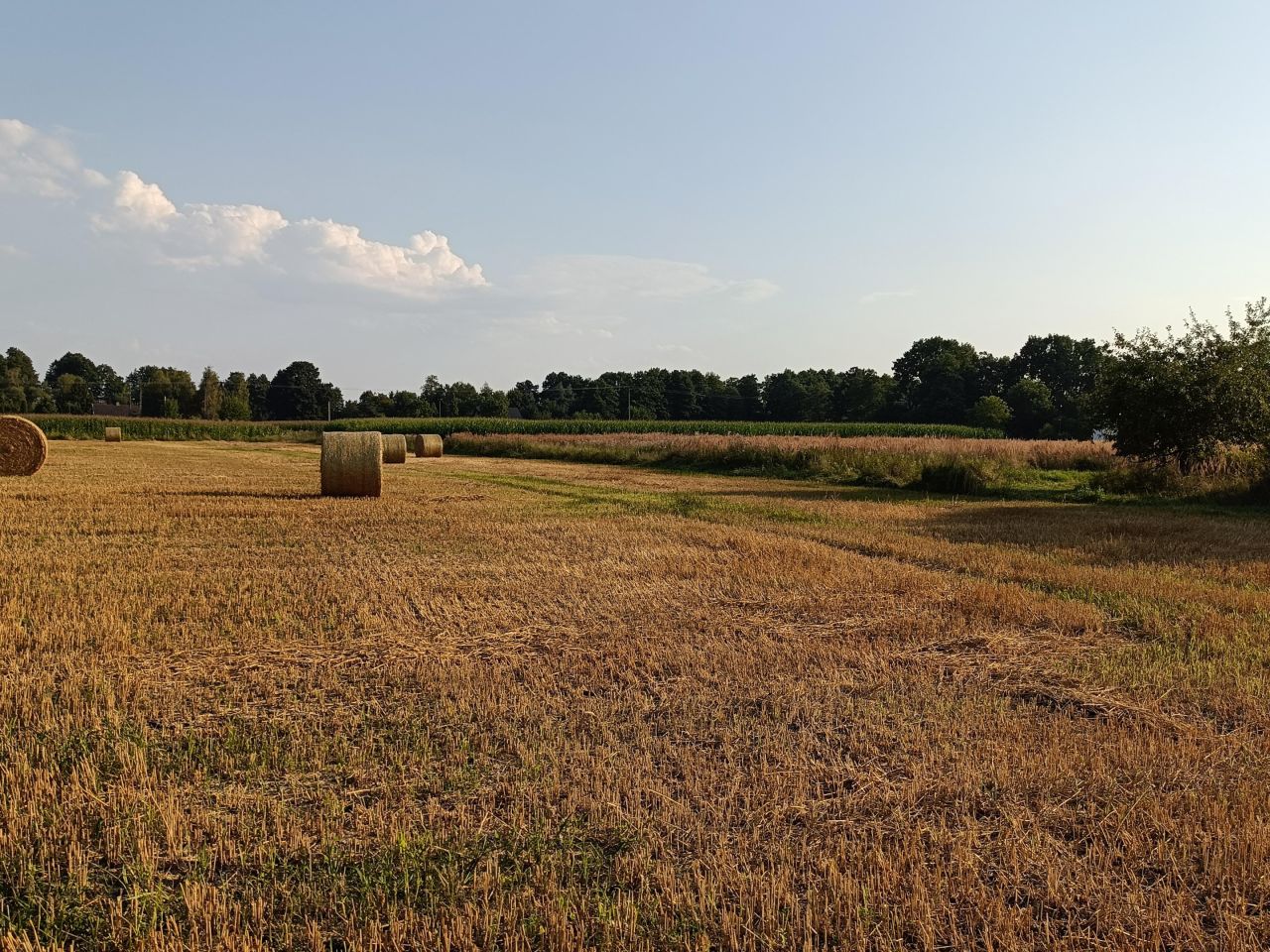Działka rolna Drogomyśl Dębina, Dębina, Słoneczna. Zdjęcie 10