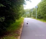 Działka rolno-budowlana Skupowo. Zdjęcie 2