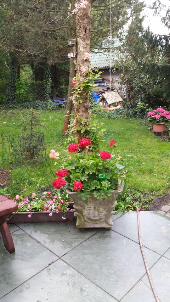 dom wolnostojący, 5 pokoi Czarnów Nowy Czarnów, ul. Topazowa. Zdjęcie 19