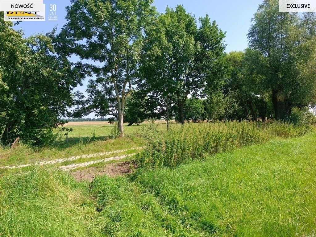 Działka budowlana Roby. Zdjęcie 8