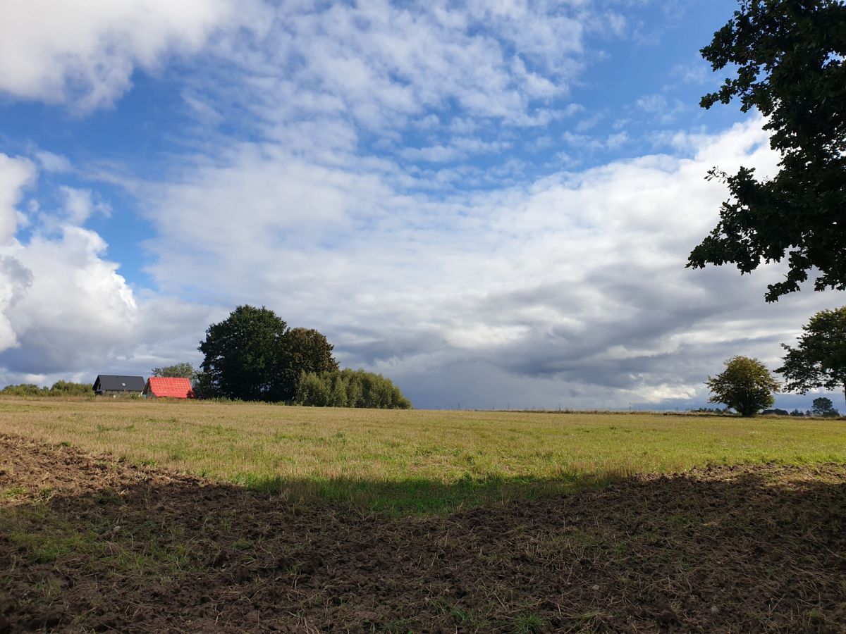 Działka budowlana Przyjaźń, ul. Łąkowa. Zdjęcie 3