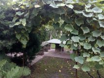 Działka rod Wrocław Ołbin, ul. Stefana Jaracza, Bolesława Prusa. Zdjęcie 2