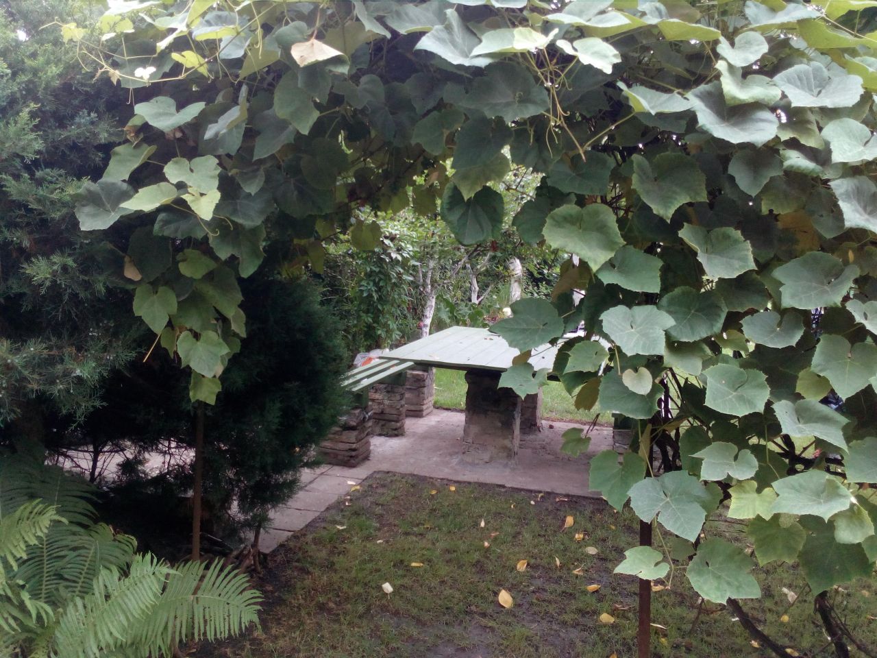 Działka rod Wrocław Ołbin, ul. Stefana Jaracza, Bolesława Prusa. Zdjęcie 3