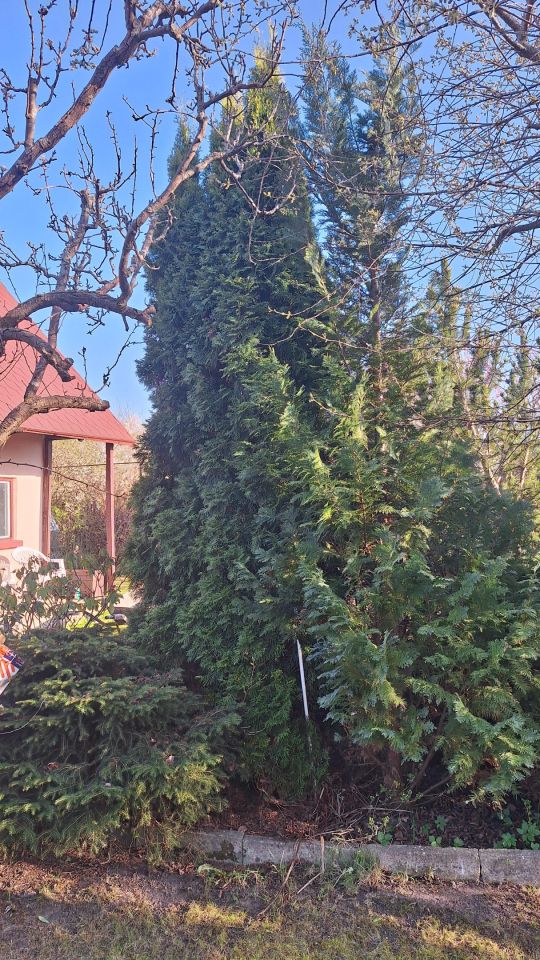 Działka rod Koszalin Północ, ul. Aleja Europejska. Zdjęcie 15