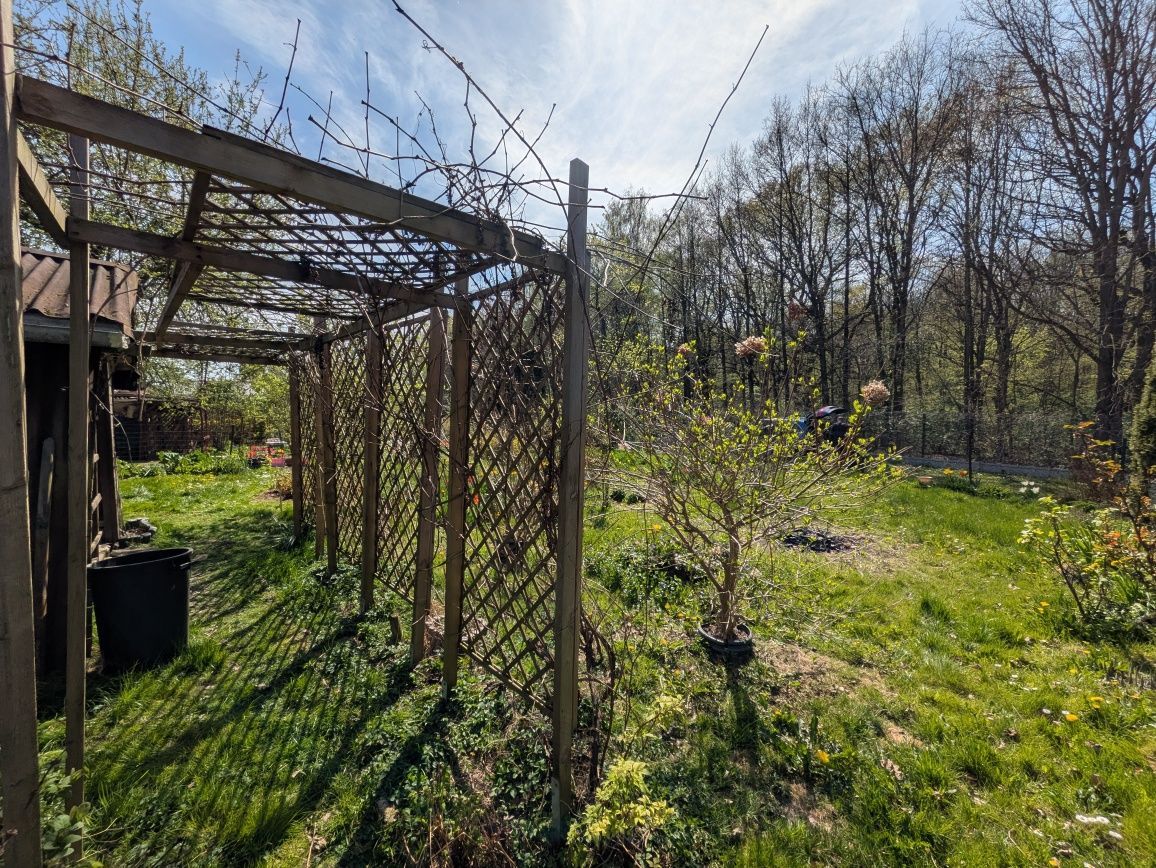 Działka rod Wieszowa. Zdjęcie 3