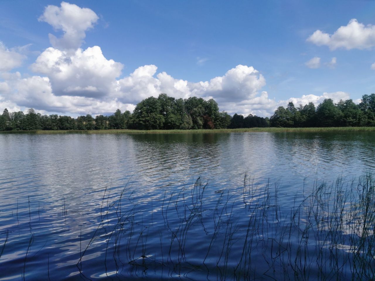 Działka leśna Garbas Drugi. Zdjęcie 5